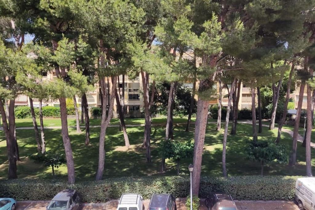 Bel Appartement Avec Piscine Proche Des Plages Six-Fours-les-Plages Exterior photo
